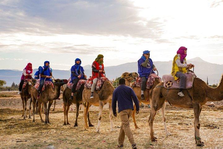 Atlas Mountains Tour from Marrakech: Camel Ride & Berber Lunch
