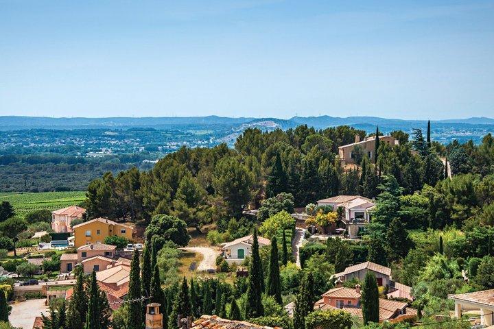 Privat kysttur: Avignon og Châteauneuf-du-Pape fra Marseille