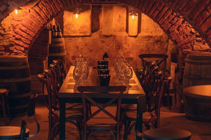 De barco a bodega - Montevideo City & Wine Experience