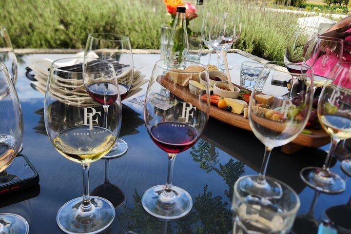 Stellenbosch、フランチークケープタウンワインランズツアー