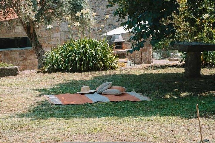 スペインワインとポルトガル農園料理教室1日で2カ国