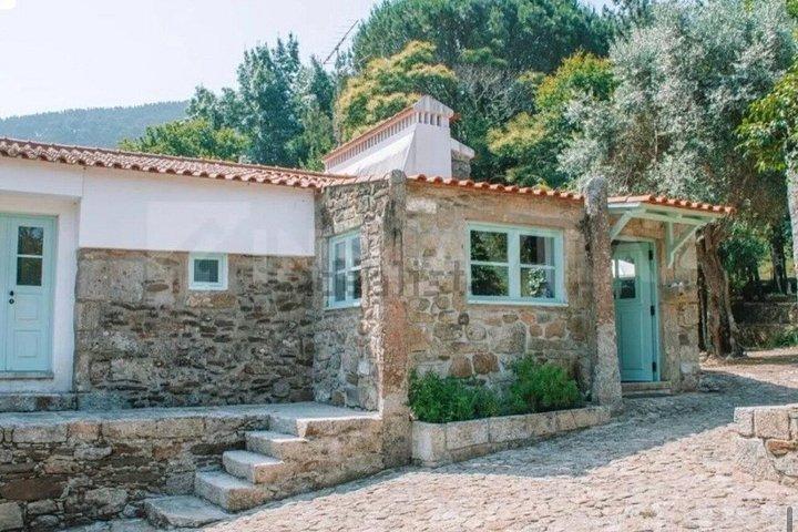 スペインワインとポルトガル農園料理教室1日で2カ国
