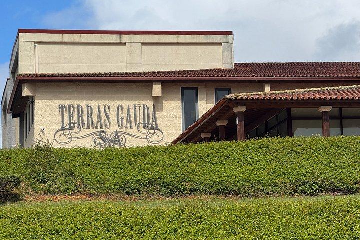 スペインワインとポルトガル農園料理教室1日で2カ国