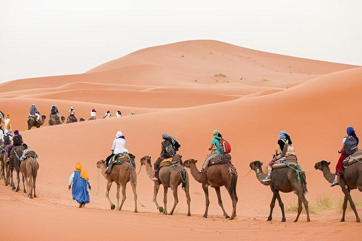 4-dages privat ørken tur fra Marrakech til Fes via Merzouga