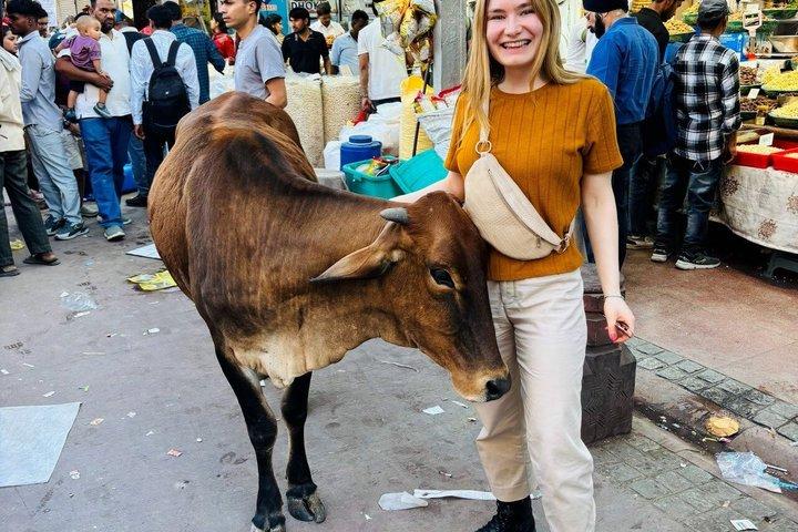 Old og New Delhi City Tour - Halv- eller fulddags muligheder