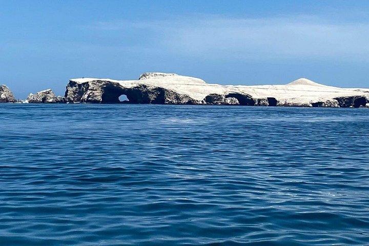 ワカチナまたはイカ発バジェスタス諸島ツアー（往復）