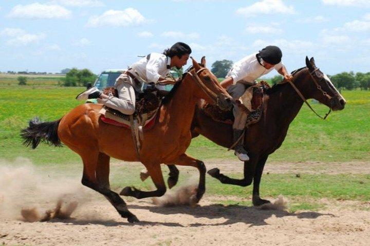 アルゼンチンのパンパスの典型的なエスタンシアへの遠足、昼食とガウチョ