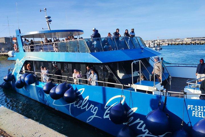 From Lisbon to BERLENGAS, a UNESCO Nature Reservation
