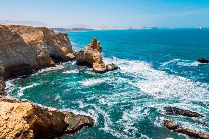 バレスタス諸島、パラカス保護区、ワカチナの 1 日ツアー