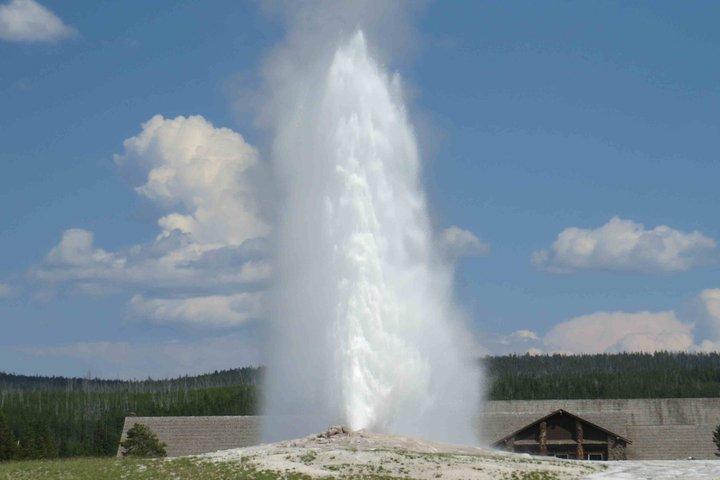 2-tägige private Grand Teton und Yellowstone Wildlife Tour