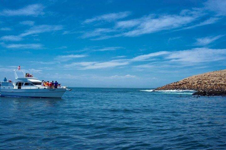 Hoteller i nærheden af Palomino Islands Sea Lion Swimming Lima Private Tour