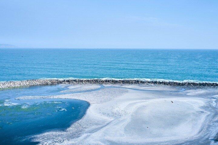 Palomino Islands Sea Lion Swimming Lima Private Tour
