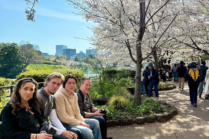 Tokyo Custom Private Tour with a Trend-Savvy Local Guide