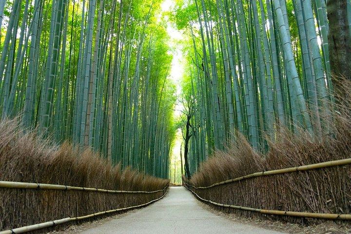 大阪バスツアー体験 勝牛寺、宮山、嵐山