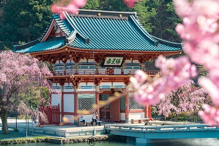 大阪バスツアー体験 勝牛寺、宮山、嵐山