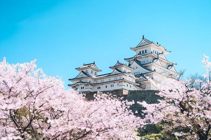 Himeji Private Custom Tour with Local Guide