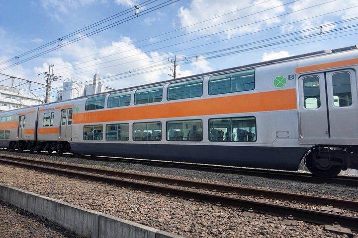 Private Mt. Takao Hike & Onsen from Shinjuku with Ex-JR Conductor
