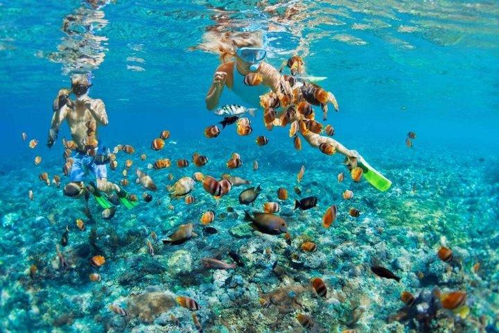 Privates Bali Blue Lagoon Schnorcheln mit Mittagessen