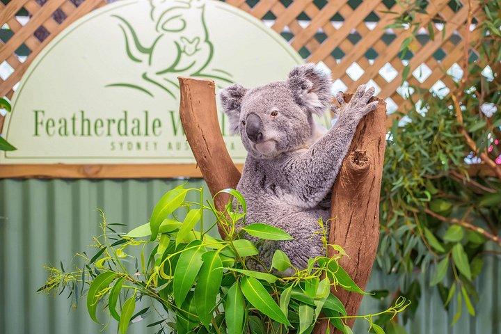 Private Wildlife Experience at Featherdale Park from Sydney