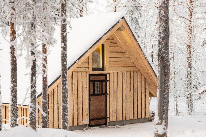 Rovaniemi Insider : ハスキー・セルフドライブ・アドベンチャー 10 km