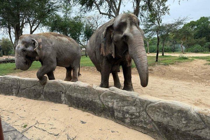 Exploring VinWonders Nam Hoi An Ticket