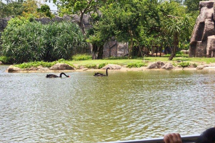 Exploring VinWonders Nam Hoi An Ticket
