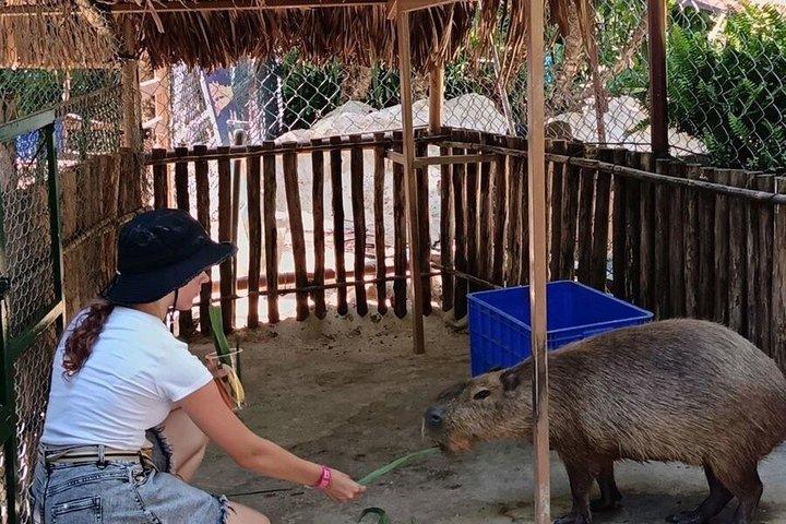 Exploring VinWonders Nam Hoi An Ticket