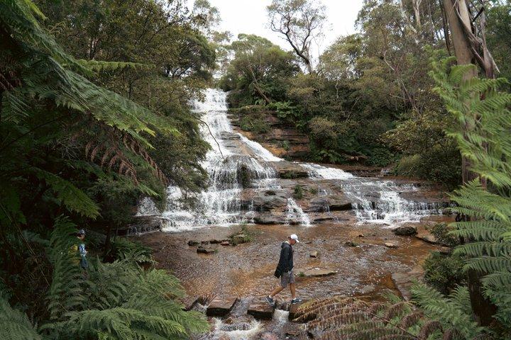 Blue Mountains Dampfzug + 3 Schwestern + Scenic World + SYD Fähre