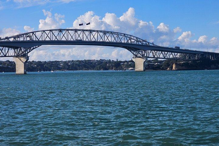 オークランドのプライベートハイライトと隠れ家ツアー