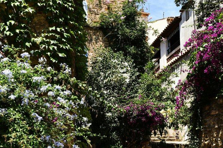 Tour a pie por el pueblo medieval y el jardín exótico desde Niza