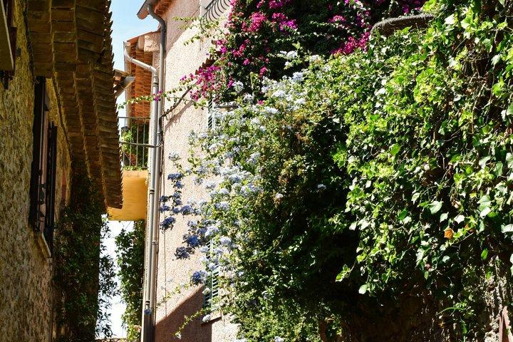 Tour a pie por el pueblo medieval y el jardín exótico desde Niza