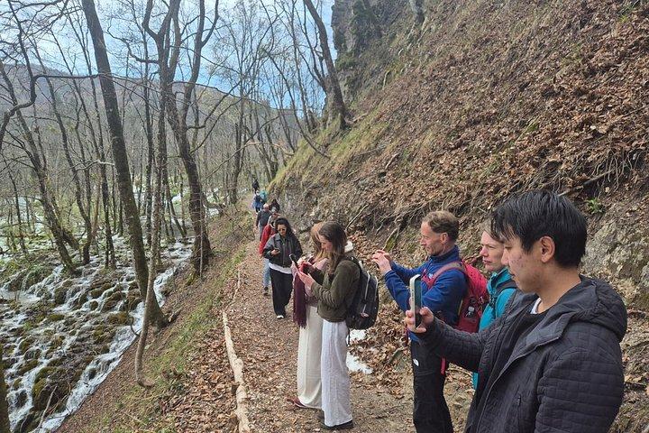 スプリットまたはトロギール発プリトヴィッツェ湖群エコノミーグループツアー