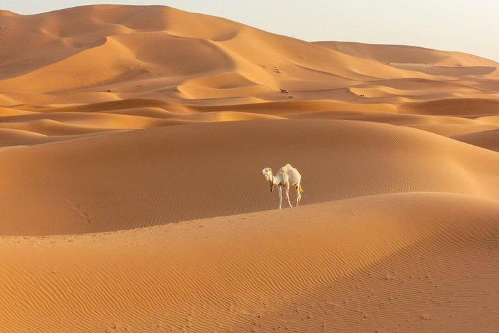 Excursão de 3 dias de Marrakech para Merzouga Sahara Dunes