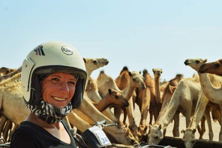マルサ・アラム・クワッドバイクとバギー砂漠サファリ