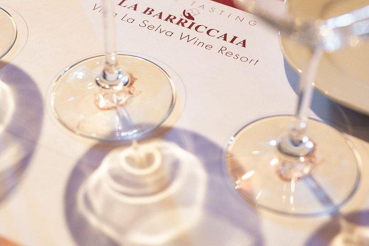 ヴィラ・ラ・セルヴァでのトスカーナワイン試飲体験