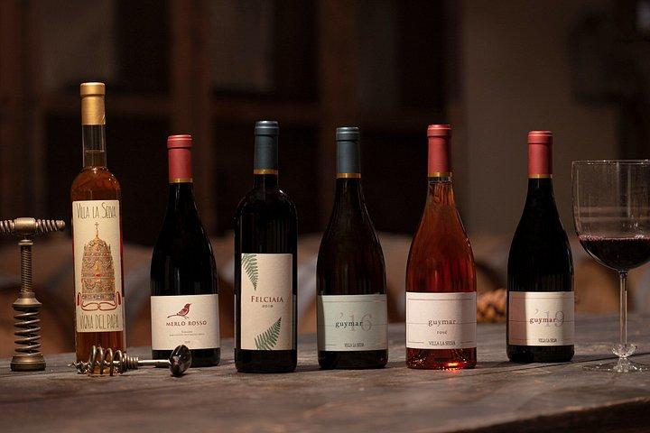 ヴィラ・ラ・セルヴァでのトスカーナワイン試飲体験