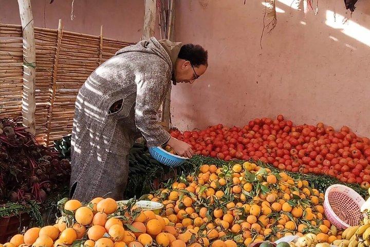 Luxury Day Trip: Atlas Mountains, 3 Valleys & Berber Villages