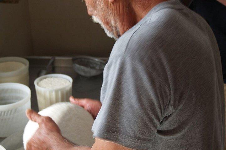 ナクソス生産者がチーズオリーブオイルはちみつの試食会