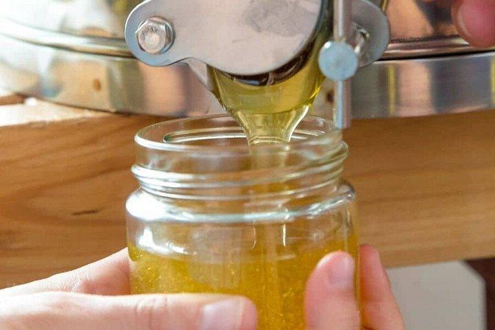 ナクソス生産者がチーズオリーブオイルはちみつの試食会