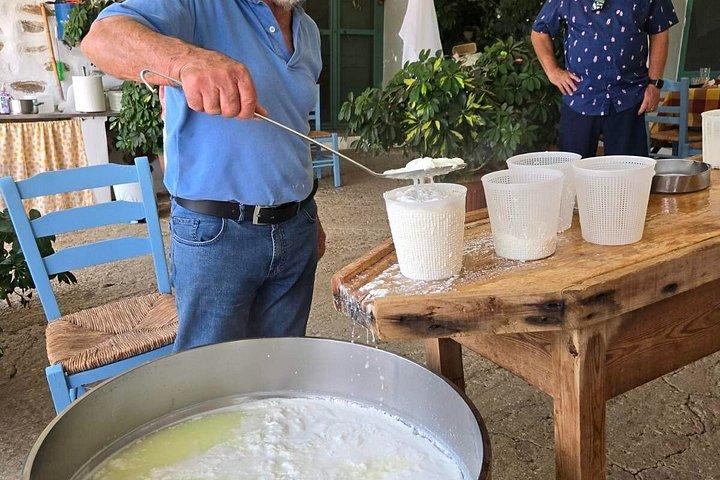 ナクソス生産者がチーズオリーブオイルはちみつの試食会