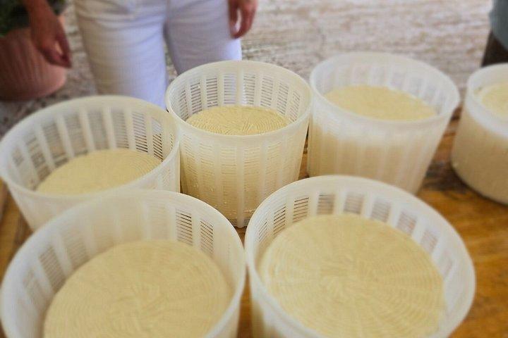 ナクソス生産者がチーズオリーブオイルはちみつの試食会