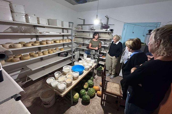 ナクソス生産者がチーズオリーブオイルはちみつの試食会