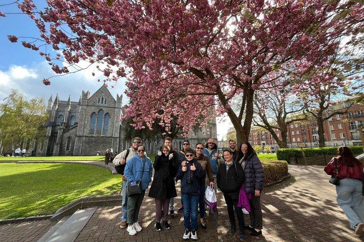 Dublin Literary Walking Tour with Afternoon Tea and Museum Entry