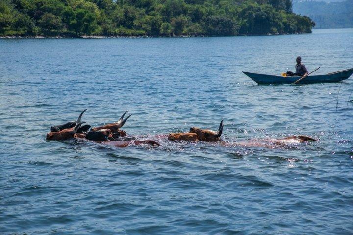 Rwanda 2 jours Lac Kivu Excursion relaxante avec croisière en bateau
