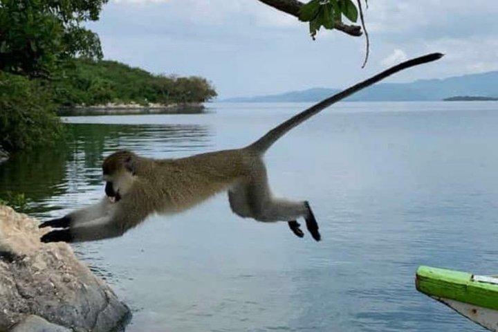Rwanda 2 jours Lac Kivu Excursion relaxante avec croisière en bateau