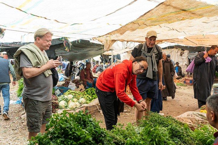Marrakech: Atlas Mountains, 4 Valleys & Waterfall Guided Day Trip