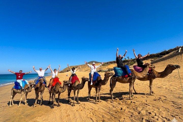 Tarifa to Tangier Day Trip: incluindo ferry, passeio de camelo e almoço