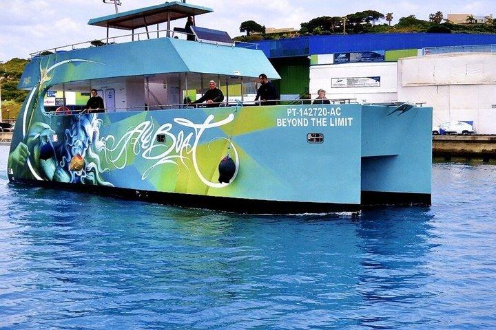 Ricerca dei delfini e grotte di Benagil da Albufeira