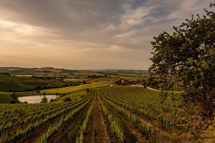 Vanaf Cortona Brunello di Montalcino wijntour met lunch