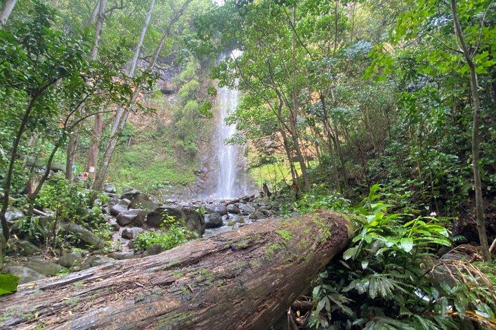 Kayak Rental on Wailua River